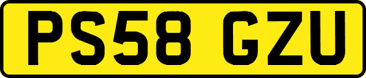 PS58GZU