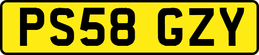 PS58GZY
