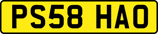 PS58HAO
