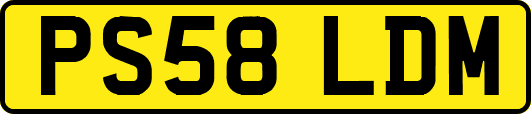 PS58LDM