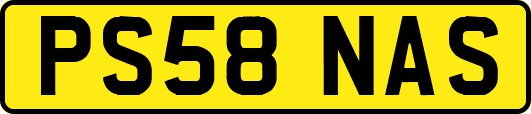PS58NAS