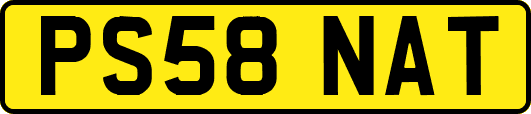 PS58NAT