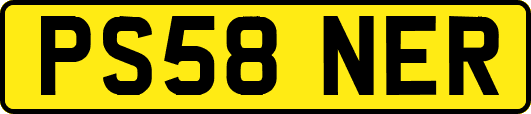 PS58NER