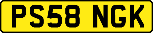 PS58NGK
