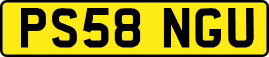 PS58NGU