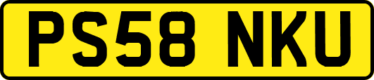 PS58NKU