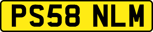 PS58NLM