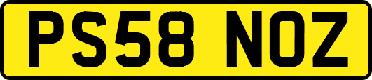 PS58NOZ