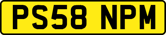 PS58NPM