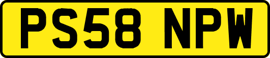 PS58NPW