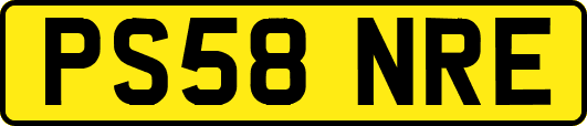 PS58NRE