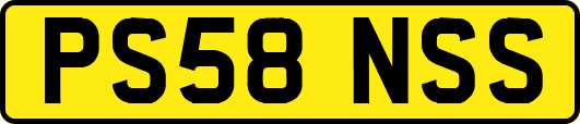 PS58NSS