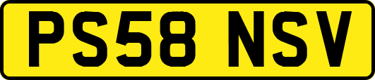 PS58NSV