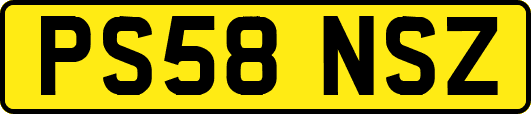 PS58NSZ