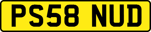 PS58NUD