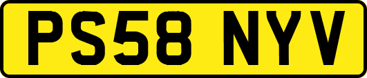 PS58NYV