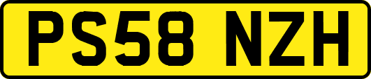 PS58NZH