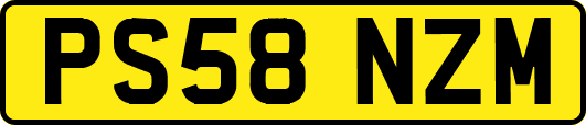 PS58NZM