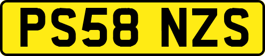 PS58NZS