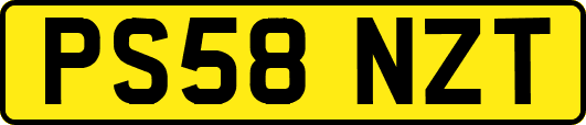 PS58NZT
