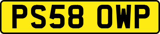 PS58OWP