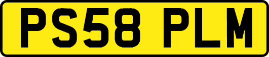 PS58PLM