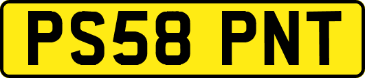 PS58PNT