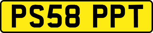 PS58PPT