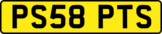 PS58PTS