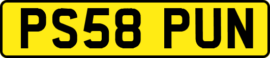 PS58PUN