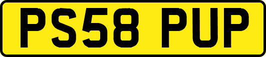 PS58PUP