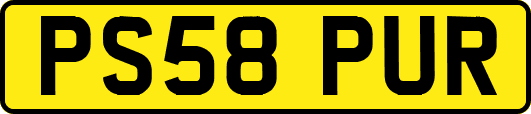 PS58PUR