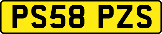 PS58PZS