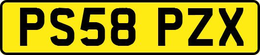 PS58PZX