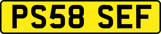 PS58SEF