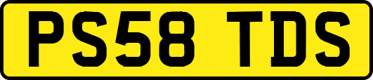 PS58TDS