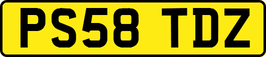 PS58TDZ