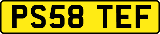PS58TEF