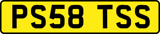 PS58TSS