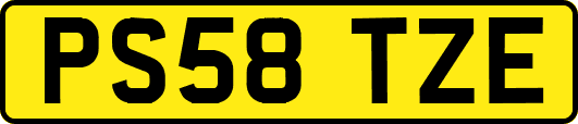 PS58TZE