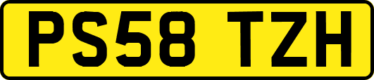 PS58TZH