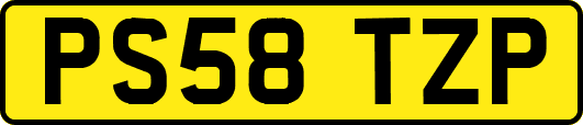 PS58TZP