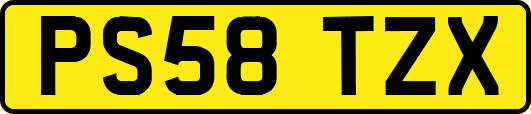 PS58TZX