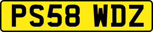 PS58WDZ