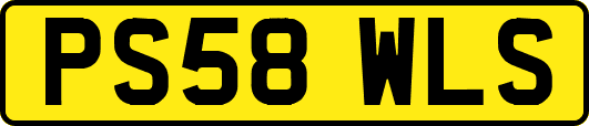PS58WLS