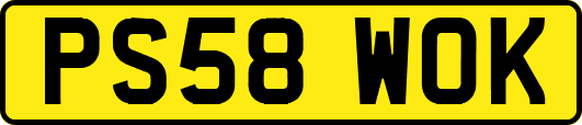PS58WOK