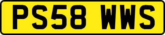 PS58WWS