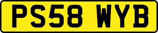 PS58WYB