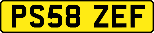 PS58ZEF
