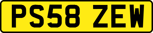 PS58ZEW